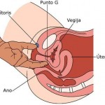 El punto G en una mujer