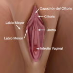 ¿Cómo estimular el clítoris? - Blog de Sexo Telefónico X
